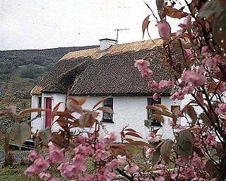 Connemara Country Hotel 3*